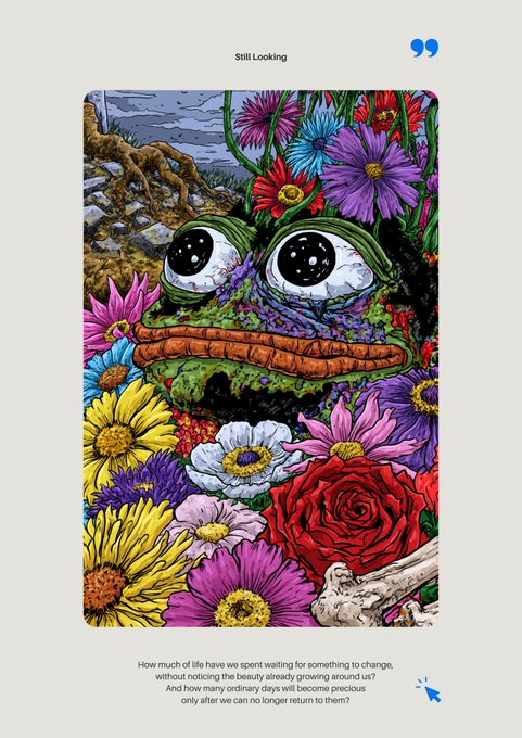A colorful illustration of a frog face surrounded by vibrant flowers with the title "Still Looking" and a reflective caption about waiting for change and appreciating ordinary days.