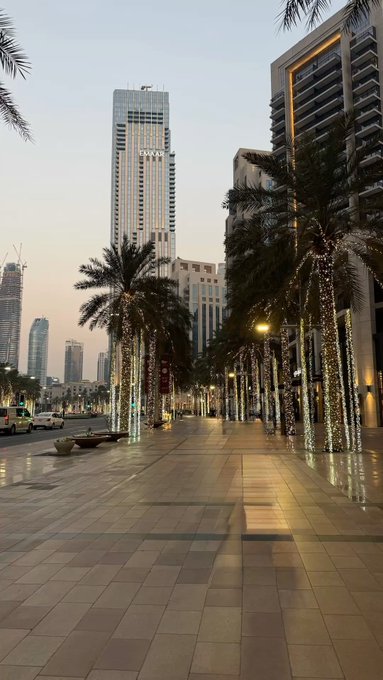 A dusk view of a palm-tree-lined promenade in a Middle Eastern city, with a tall 'EMAAR' skyscraper and other high-rises in the background and string lights wrapped around the trees.