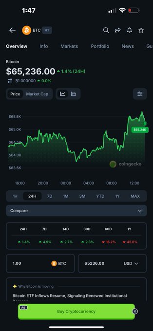 A CoinGecko mobile app screenshot showing Bitcoin price at $65,236.00 with a 1.4% 24-hour increase and an article about Bitcoin ETF inflows.