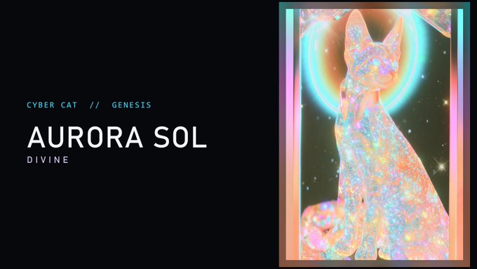 A promotional graphic with the text "CYBER CAT // GENESIS AURORA SOL DIVINE" alongside a holographic, sparkling cat figure with a glowing halo.