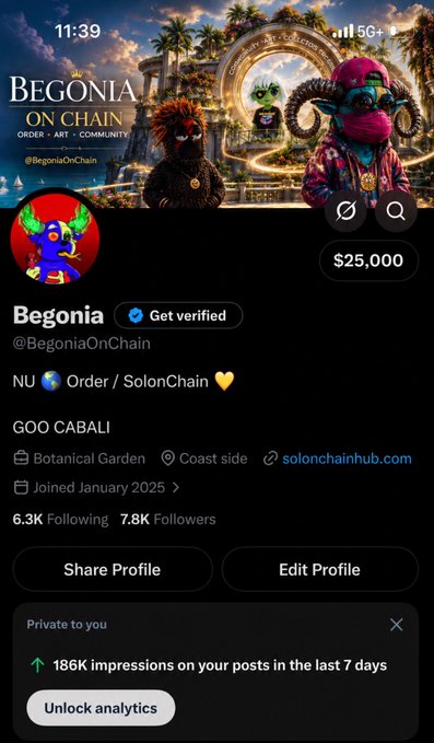 A Twitter/X profile page for Begonia (@BegoniaOnChain), a verified account described as 'NU 🌏 Order / SolonChain 💛' with 6.3K following, 7.8K followers, and NFT art featuring colorful characters.