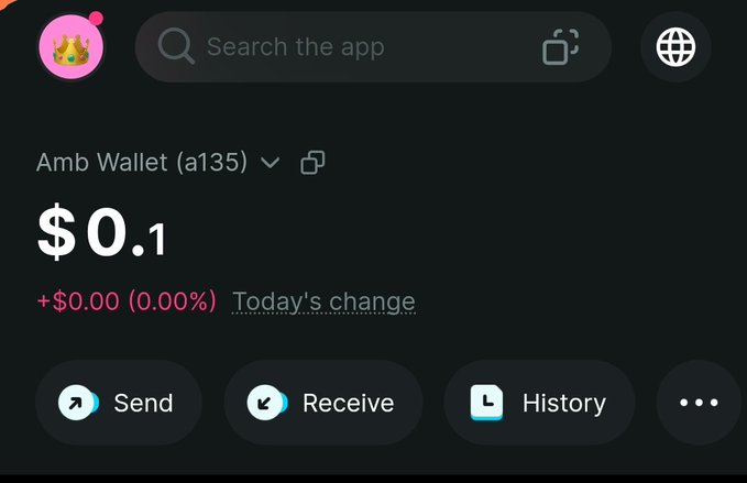 The image shows an "Amb Wallet (a135)" displaying a balance of $0.10 with a 0.00% change for the day, along with Send, Receive, and History buttons. The accompanying post humorously complains that while others have AMB wallet balances in the 2-6 figure range, the poster only has a 0.1 figure (i.e., $0.10) balance because they're either "ct" (likely shorthand for "cheugy" or out of touch/uncool).