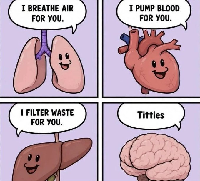 A four-panel cartoon meme shows cartoon organs speaking: the lungs say 'I BREATHE AIR FOR YOU', the heart says 'I PUMP BLOOD FOR YOU', the liver says 'I FILTER WASTE FOR YOU', and the brain simply says 'Titties'.