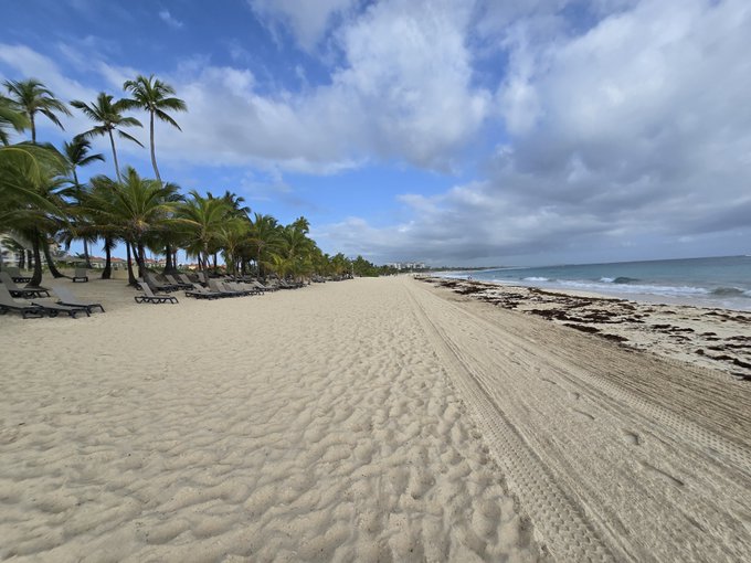 A tropical beach scene features palm trees, lounge chairs, and sandy shores under a partly cloudy blue sky.