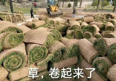 A pile of rolled-up sod or turf in a yard with an excavator in the background, captioned in Chinese "草,卷起來了" (Grass, rolled up).