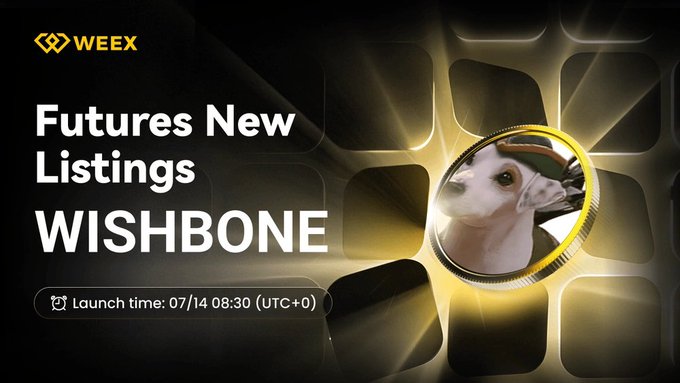The image is a WEEX promotional banner announcing the futures listing of $WISHBONE, featuring the WEEX logo, the headline "Futures New Listings WISHBONE," a launch time of 07/14 08:30 (UTC+0), and a circular icon of a dog wearing a cap on a glowing gold grid background.