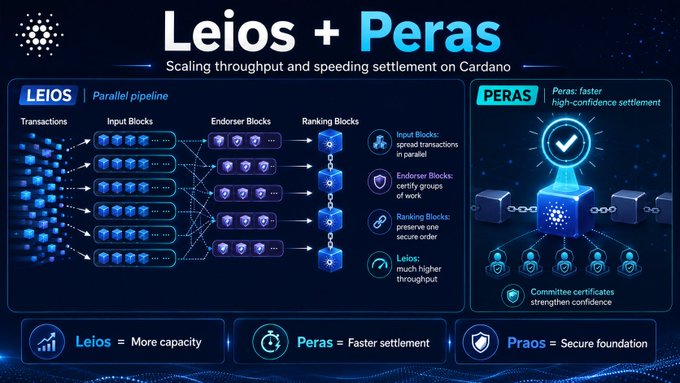 A technical infographic titled 'Leios + Peras' explaining Cardano scaling solutions, with sections for 'LEIOS: Parallel pipeline' and 'PERAS: faster high-confidence settlement'.