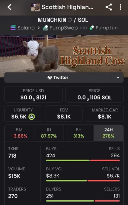 The image shows a crypto tracking screen for "MUNCHKIN" token on Solana via PumpSwap/Pump.fun, featuring a Scottish Highland Cow mascot with metrics like $0.058 USD price, $6.5K liquidity, 718 transactions, and notable 24H gains of 278% alongside the caption noting the token's ticker change to "MUNGKIN."