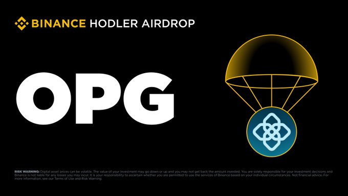 The image is a Binance Hodler Airdrop promotional graphic featuring the ticker "OPG" (OpenGradient) alongside a parachute illustration containing the project's logo, with Binance's branding at the top and a risk warning disclaimer at the bottom. The graphic visually reinforces the announcement that OpenGradient (OPG) is the latest token being distributed through Binance's HODLer Airdrop program for BNB subscribers.