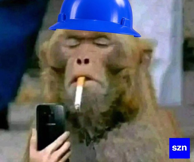 A monkey wearing a blue hard hat and smoking a cigarette looks at a smartphone, with an 'szn' logo in the bottom right corner.