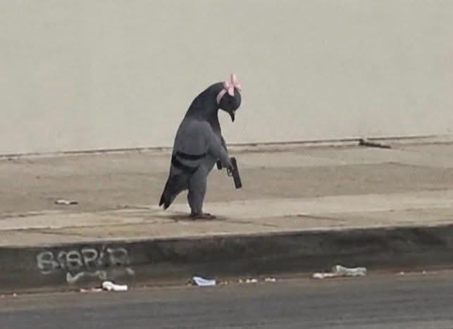 A humorous, manipulated image of a pigeon walking upright on a sidewalk while holding a handgun, wearing a pink bow on its head.