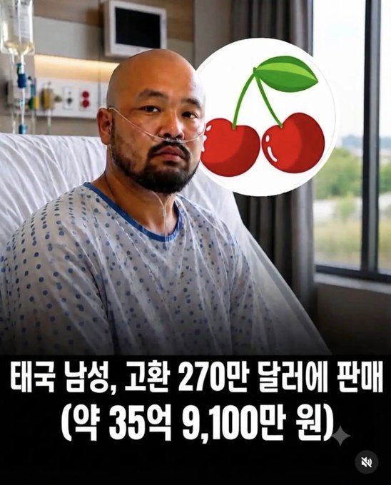 A bald man in a hospital gown with a nasal cannula sits by a window, with a cherry emoji overlay and Korean text reading '태국 남성, 고환 270만 달러에 판매 (약 35억 9,100만 원)' about a Thai man selling his testicles for $2.7 million.
