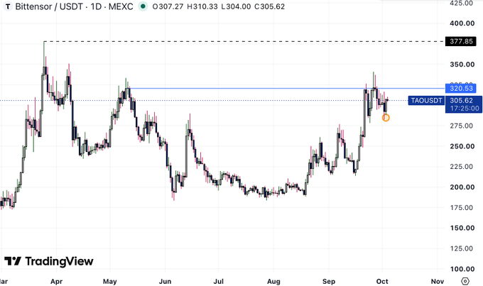A TradingView daily candlestick chart for Bittensor (TAOUSDT) on MEXC showing price action from March through October, with key resistance levels marked at 377.85 and 320.53, and current price at 305.62.