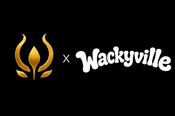A collaboration announcement on a black background showing a golden flame-like logo next to a white 'Wackyville' wordmark separated by an 'x'.