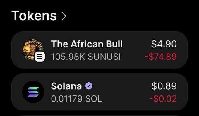 The image displays a crypto wallet showing tokens "The African Bull" (SUNUSI) valued at $4.90 with a $74.89 loss, and Solana (SOL) at $0.89 with a $0.02 loss. This visualizes the post's message about cashing out after a rugpull, where the user suffered significant losses on the African Bull token as the project team allegedly orchestrated the crash for personal gain.