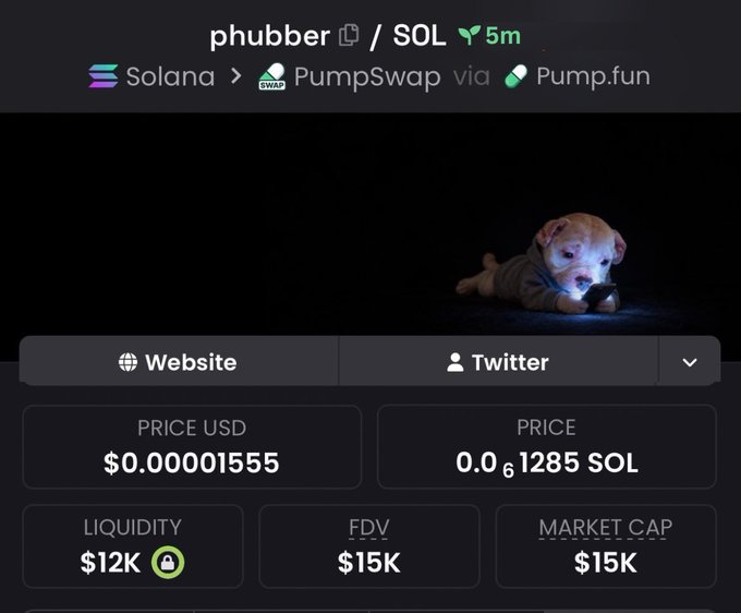 A screenshot from a crypto tracker showing a token named 'phubber' on the Solana blockchain via PumpSwap/Pump.fun, priced at $0.00001555 with a market cap of $15K.
