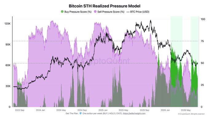A CryptoQuant chart titled "Bitcoin STH Realized Pressure Model" tracks BTC Price (USD) from September 2023 through mid-2026, showing the Buy Pressure Score (green) rising sharply to dominate the Sell Pressure Score (purple) in early 2026 near the $60K–$75K range, supporting the claim that short-term holder sell pressure is drying up as buyers step in at the STH cost basis.