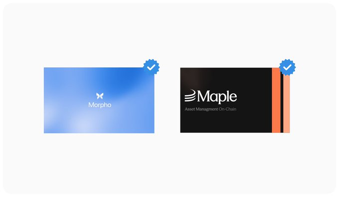 An image showing two verified cryptocurrency/blockchain project cards: a blue "Morpho" card and a black and orange "Maple - Asset Management On-Chain" card, both marked with blue verification checkmarks.