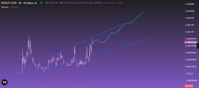 The image displays a 4-hour candlestick chart for WSOLP/USD on Birdeye.so, showing an uptrend with prices around 0.0009050–0.0009058 and volume of 30.52 M. The chart's bullish pattern visually reinforces the post's message about $WSOLP's promising business expansion and long-term equity value for token holders.