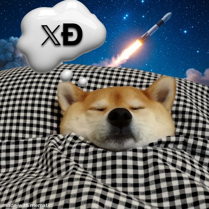 The image features a brown dog sleeping peacefully on top of a black and white checkered blanket, with a thought bubble above its head that reads "XD". The background shows a rocket flying through space against a starry night sky.