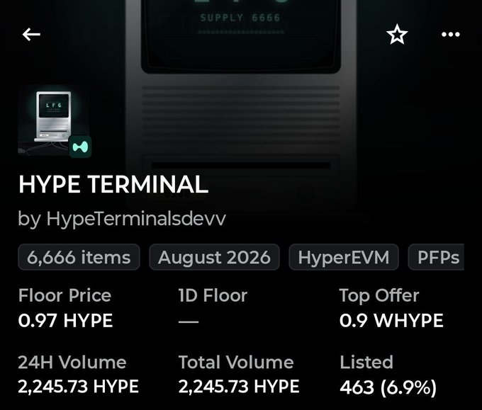 A digital asset listing titled "HYPE TERMINAL" by HypeTerminalsdevv, showing 6,666 items with an August 2026 date, tagged with HyperEVM and PFPs, with a floor price of 0.97 HYPE, top offer of 0.9 WHYPE, and 24H volume of 2,245.73 HYPE.
