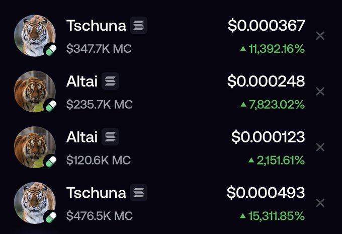 A cryptocurrency listing showing tokens named 'Tschuna' and 'Altai' with significant percentage gains ranging from 2,151% to 15,311%, with market caps between $120K and $476K.