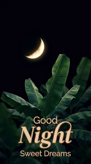 A 'Good Night Sweet Dreams' graphic featuring a crescent moon over tropical banana leaves.