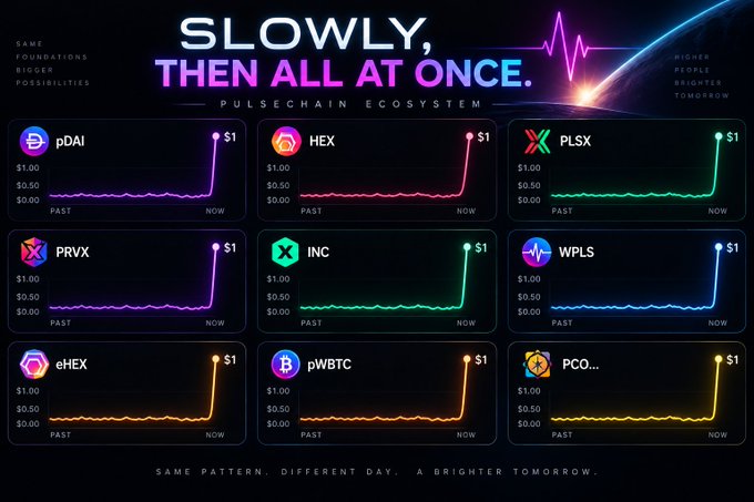 A promotional graphic titled 'SLOWLY, THEN ALL AT ONCE. PULSECHAIN ECOSYSTEM' displays nine charts showing various tokens (pDAI, HEX, PLSX, PRVX, INC, WPLS, eHEX, pWBTC, PCO) all reaching $1 from past low values.