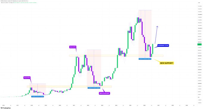 A TradingView candlestick chart for Bitcoin/USD (BTCUSD) showing price action from 2024 to 2026, annotated with yellow support zones labeled 'OLD PIVOT' and 'NEW PIVOT', purple 'OLD HIGH' and 'NEW HIGH' markers, and text indicating 'WORKING STOP' with an arrow pointing up.