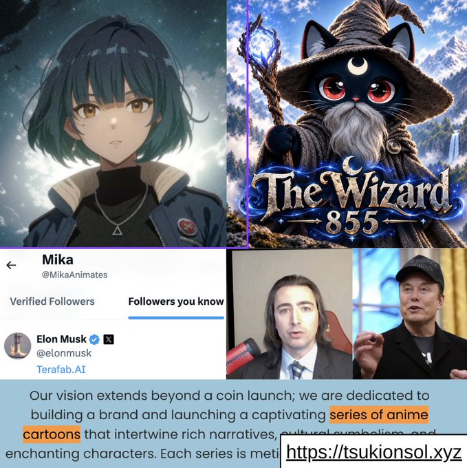 The image shows an anime character named "Mika" alongside promotional art for "The Wizard 855" featuring a cat wizard, with a screenshot revealing that Elon Musk is a follower of the @MikaAnimates account, while the bottom text announces that $TSUKI's vision involves launching a series of anime cartoons—an interesting connection suggesting ties between Grok's companion Mika and the RoaringKitty-backed Tsukionsol project.