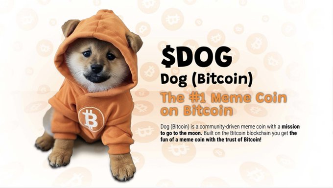 An advertisement for '$DOG' described as 'Dog (Bitcoin)' and 'The #1 Meme Coin on Bitcoin,' showing a Shiba Inu puppy wearing an orange Bitcoin hoodie.