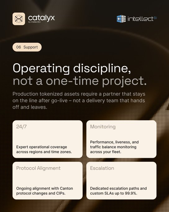 A marketing slide from Catalyx by IntellectEU titled "Operating discipline, not a one-time project," highlighting Section 6 on Support with four service offerings: 24/7 expert operational coverage, Monitoring of performance and traffic, Protocol Alignment with Canton changes and CIPs, and Escalation paths with custom SLAs up to 99.9%. The post emphasizes Catalyx's post-go-live support for tokenized asset production as part of their Canton Onboarding Package series.