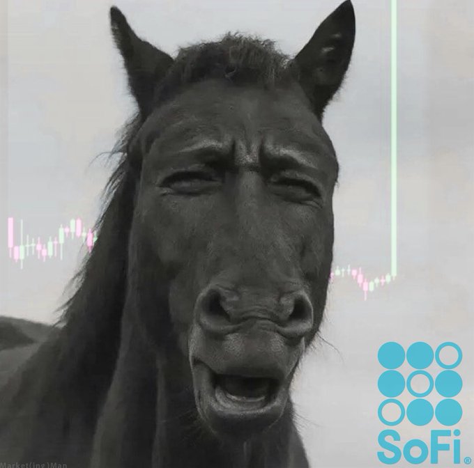 A close-up of a black horse with a comically expressive face, overlaid with a stock market candlestick chart and the SoFi logo in the corner.