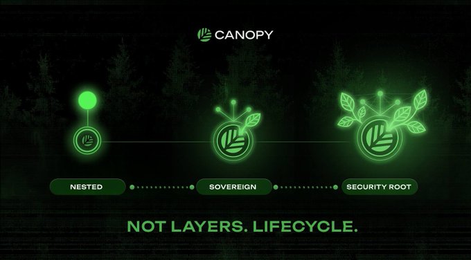 An identical duplicate of Image 7, showing the CANOPY brand's NESTED, SOVEREIGN, and SECURITY ROOT lifecycle diagram with 'NOT LAYERS. LIFECYCLE.'