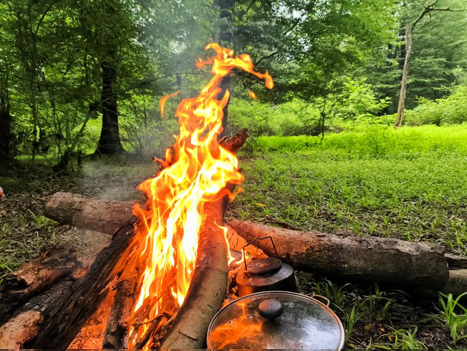 A roaring campfire crackles in a lush green forest, with two metal pots warming by the flames—evoking the wholesome, slow-living spirit of building healthy daily habits and community ecosystems.