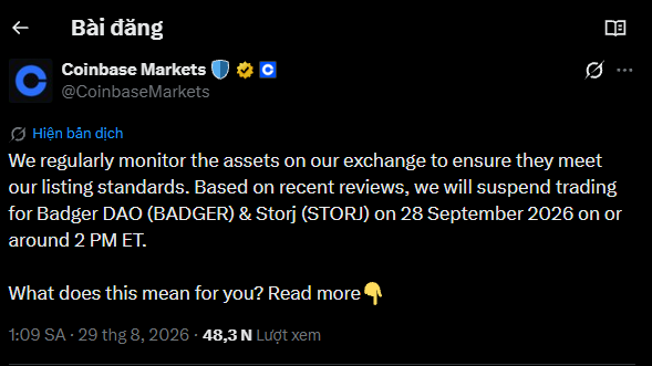 A Vietnamese-language screenshot of a post from Coinbase Markets (@CoinbaseMarkets) announcing the suspension of trading for Badger DAO (BADGER) and Storj (STORJ) on September 28, 2026.
