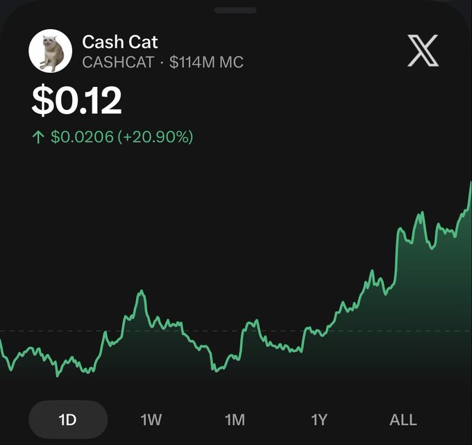 A mobile screenshot showing the "Cash Cat" (CASHCAT) meme coin chart on the X platform, displaying a price of $0.12, market cap of $114M, and a +20.90% gain.