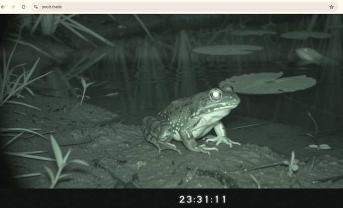 A nighttime wildlife camera captures a frog with glowing eyes perched on a log by a pond, with the timestamp "23:31:11" and browser tab "pools.trade" visible, humorously illustrating the "frog in the pond" while showing the new Uniswap pools.trade countdown timer set to launch August 5th at 16:00 UTC.