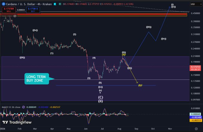 A TradingView chart of Cardano (ADA) against the U.S. Dollar with Elliott Wave analysis labels (i-v, A-B-C, i-iv), highlighting a "LONG TERM BUY ZONE" between approximately $0.14 and $0.21.