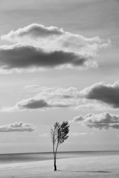 A black and white minimalist photograph of a solitary small tree standing in a vast empty landscape under a sky filled with layered clouds.