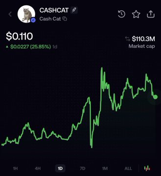 Crypto price screenshot for 'CASHCAT' showing a price of $0.110 with a 1-day gain of $0.0027 (25.85%), a market cap of $110.3M, and a 1D candlestick chart displayed in green.