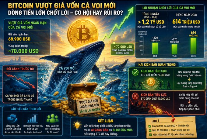 A Vietnamese-language Bitcoin infographic titled "BITCOIN VƯỢT GIÁ VỐN CÁ VOI MÔI" features whale imagery, charts showing whale profit/loss over 3 days totaling >1.2 trillion USD with 614 trillion USD on 20/8, and trading signals about whale accumulation versus distribution.