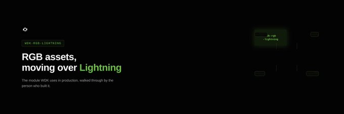 Promotional graphic for WDK RGB-LIGHTNING module, featuring the headline 'RGB assets, moving over Lightning' and a subtitle reading 'The module WDK uses in production, walked through by the person who built it.'