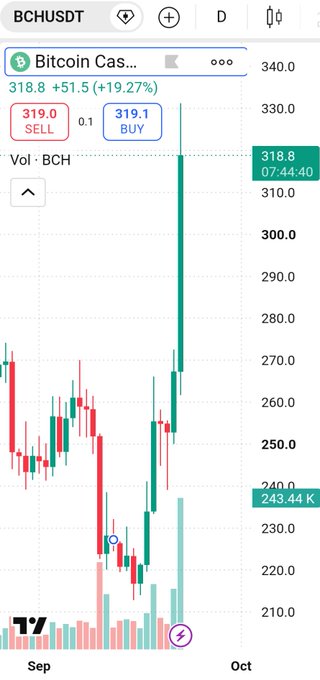 A TradingView candlestick chart for BCHUSDT (Bitcoin Cash), showing a recent sharp price increase from around $240 to $318.80 (+19.27%).