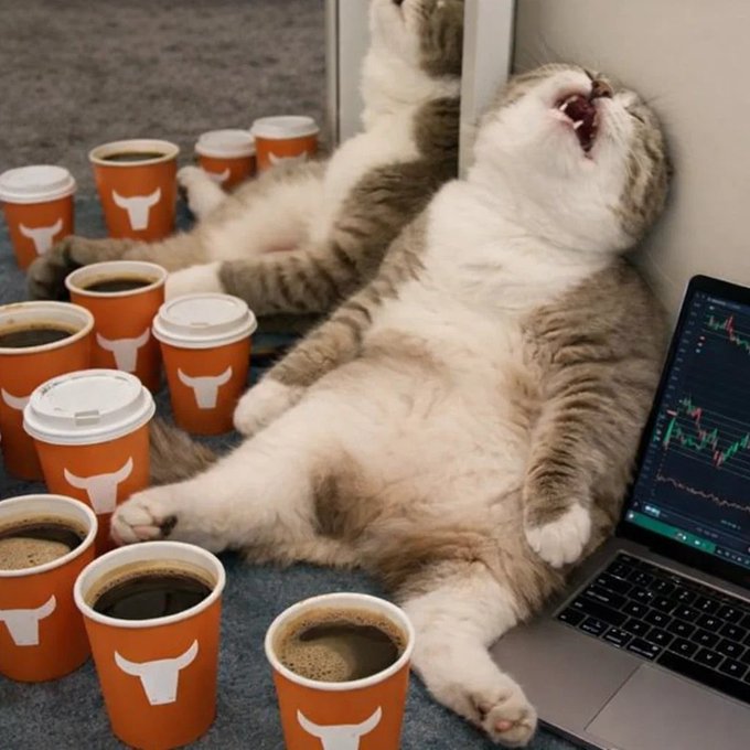 A chubby cat lying on its back in front of a laptop showing stock charts, surrounded by numerous coffee cups with bull logos, depicting a trader's vibe.