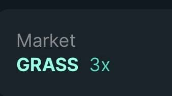 A dark screen displays the text 'Market GRASS 3x' in white and teal lettering.
