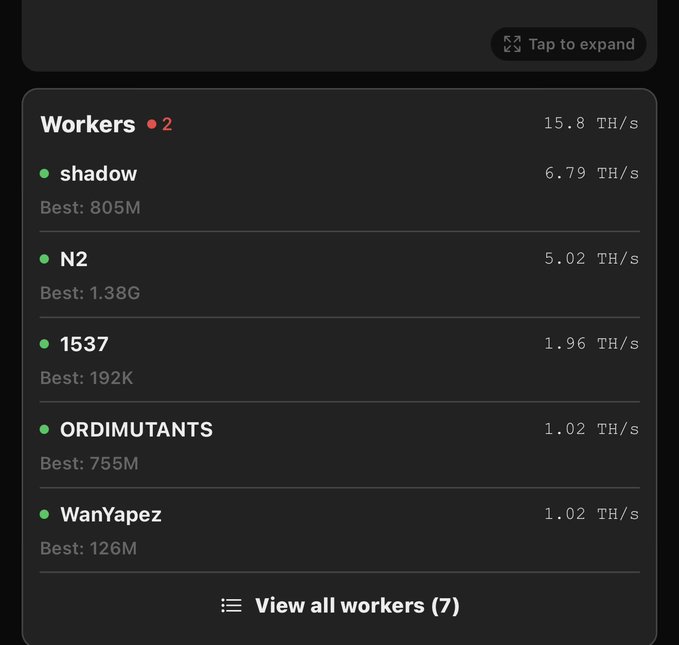 The image shows a screenshot from an app that displays information about workers, including their names and job descriptions. The app also provides details about the workers' skills and experience levels. The main focus of the image is a list of workers with their respective skills and experiences, which are organized in a tabular format.