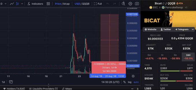 A cryptocurrency price chart showing 'BICAT / 0QQB' on PancakeSwap V2, with the price displayed as $0.0003133, a 24H change of -56.11%, a market cap of $313K, and a trading volume of $604K.