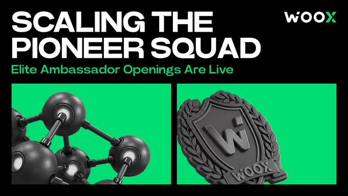 WOO X promotional banner titled 'SCALING THE PIONEER SQUAD' announcing 'Elite Ambassador Openings Are Live', featuring 3D renders of a molecular structure and a shield badge on a green background.