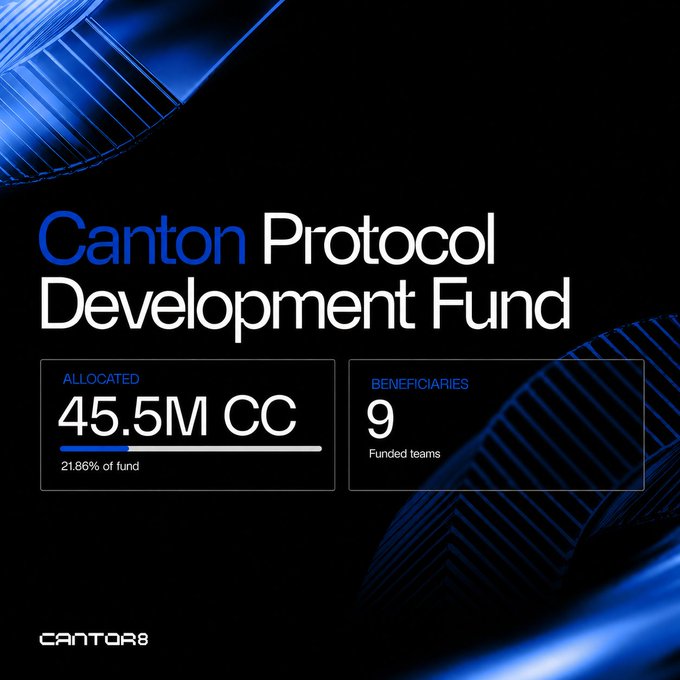 The image shows a Canton Protocol Development Fund dashboard displaying 45.5M CC allocated (21.86% of fund) supporting 9 funded teams, with the Canton8 logo at the bottom. The graphic visually reinforces the post's message about the Fund's role in driving utility and value across the Canton Network ecosystem.